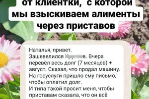 Работа с приставами по взысканию задолжности по алиментам — Михайлова Наталья Александровна