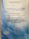 Диплом / сертификат №3 — Наумов Вячеслав Игоревич