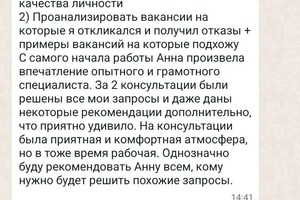 Отзыв. Составление резюме, профессиональная распаковка — Попова Анна Николаевна