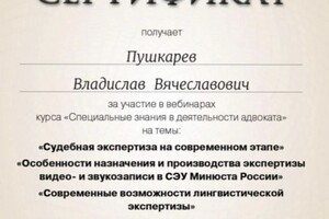 Диплом / сертификат №13 — Пушкарев Владислав Вячеславович