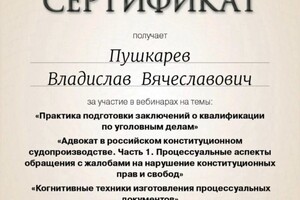 Диплом / сертификат №15 — Пушкарев Владислав Вячеславович