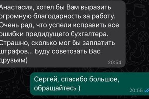 Исправление ошибок в учете, сдача декларации — Решетняк Анастасия Александровна