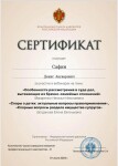 Диплом / сертификат №5 — Сафин Денис Ануварович