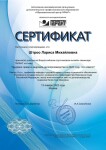 Диплом / сертификат №3 — Штроо Лариса Михайловна