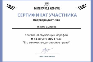 Диплом / сертификат №26 — Смирнов Никита Витальевич