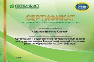 Диплом / сертификат №1 — Степан Скородумов