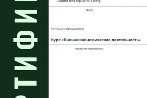 Диплом / сертификат №4 — Топчу Алина Викторовна