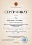 Диплом / сертификат №120 — Тур Маргарита Сергеевна