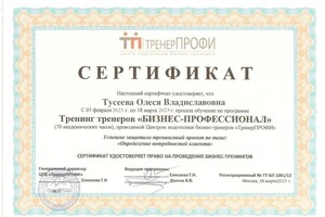 Диплом / сертификат №2 — Тусеева Олеся Владиславовна