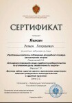 Диплом / сертификат №12 — Яшкин Роман Георгиевич