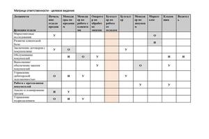 Часть из пакета оформляемых документов при разработке стратегии развития (форма и наполнение уточняется по факту) — Большакова Анна Александровна