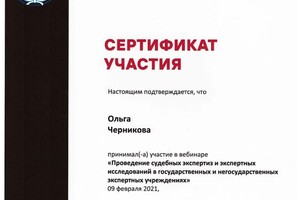 Диплом / сертификат №6 — Черникова Ольга Алексеевна