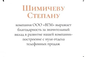 Диплом / сертификат №3 — Шимичев Степан Егорович