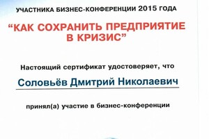 Диплом / сертификат №3 — Соловьев Дмитрий Николаевич