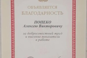 Диплом / сертификат №1 — Попеко Алексей Викторович