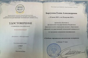 Барсукова Елена Александровна — Диплом / сертификат №2