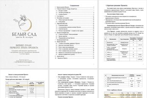 Бизнес-План-РФ — Бизнес-план для поиска инвестора в развитие пилотного проекта ТМ \