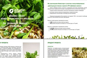 Бизнес-План-РФ — Бизнес-план масштабирования пилотного проекта ТМ \