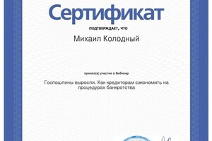 Диплом / сертификат №13 — Колодный Михаил Александрович