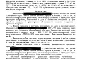Михейкин Максим Владиславович — Определение суда об освобождение от кредитов — Портфолио №2
