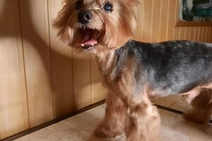 Пасенко Екатерина Николаевна — Комплексный уход — Портфолио №69