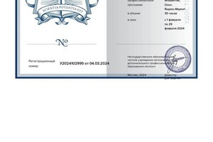 Шубина Наталья Игорьевна — Диплом / сертификат №2