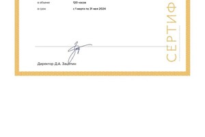 Шубина Наталья Игорьевна — Диплом / сертификат №4