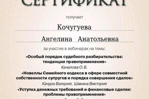 Семейные дела, развод, раздел, алименты, отцовство, воспитание ребенка, наследство, завещание — Кочугуева Ангелина Анатольевна