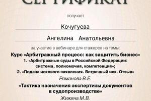 представительство в суде лично, удаленная подготовка документов для подачи в суд и судебных процессов — Кочугуева Ангелина Анатольевна