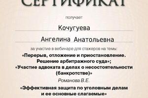 Консультация, защита на предварительном следствии и в суде — Кочугуева Ангелина Анатольевна