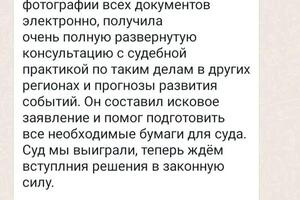 Отзыв по делу о ДТП (2 стр) — Ермоленко Виталий Викторович