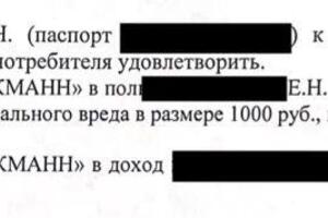 Спор по некачественному товару — Ермошкин Егор Нестерович