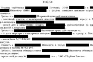 Решение суда по разделу имущества в интересах моего доверителя — Ермошкин Егор Нестерович