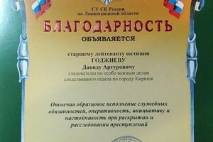 Диплом / сертификат №6 — Годжиев Давид Артурович