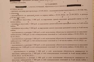 Имеется опыт представления интересов и в судах общей юрисдикции г. Москвы — Гризодуб Дмитрий Александрович