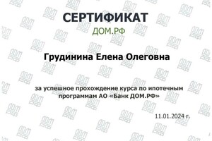 Диплом / сертификат №14 — Грудинина Елена Олеговна