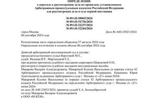 Представительство по поданной апелляционной жалобе, в результате рассмотрения которой сейчас дело рассматривается по... — Эттлер Марта Евгеньевна