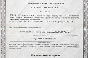 сертификат соответствия — Литвиненко Максим Валерьевич