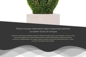 Портфолио №2 — ООО 