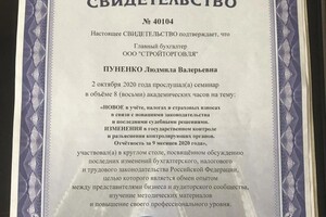 Диплом / сертификат №4 — Пуненко Людмила Валерьевна