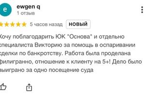 Отзыв доверителя по защите сделки от оспаривания — Садовская Виктория Геннадьевна