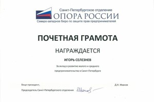 Диплом / сертификат №15 — Селезнев Игорь Владимирович