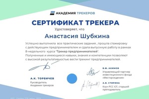 Диплом / сертификат №1 — Шубкина Анастасия Игоревна