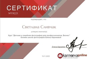 Диплом / сертификат №5 — Сливчак Светлана Сергеевна