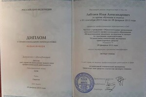 Диплом эксперта-техника — Лабгаев Илья Александрович