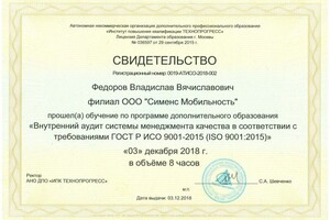 Диплом / сертификат №10 — Safety works