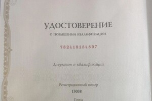 Диплом / сертификат №2 — Труханова Наталья Геннадьевна