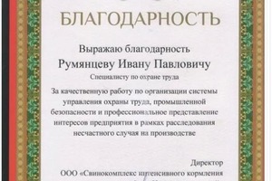 Диплом / сертификат №3 — Румянцев Иван Павлович