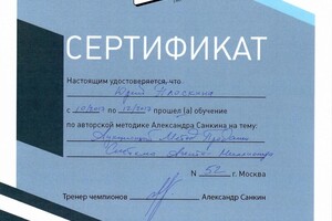 Аукционный метод продаж по авторской методике Александра Санкина — Н.А. ИП Плоскина