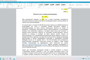 Образец написания жалобы по Акту камеральной проверки — Сотскова Ольга Витальевна